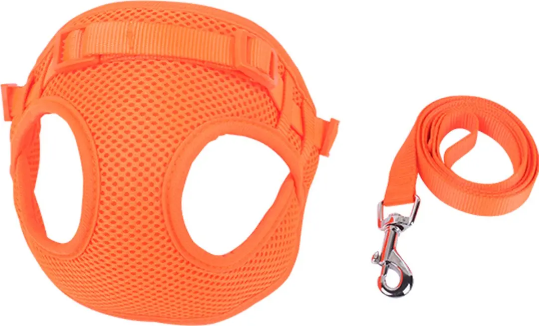 Nobleza Hondentuig met Riem
