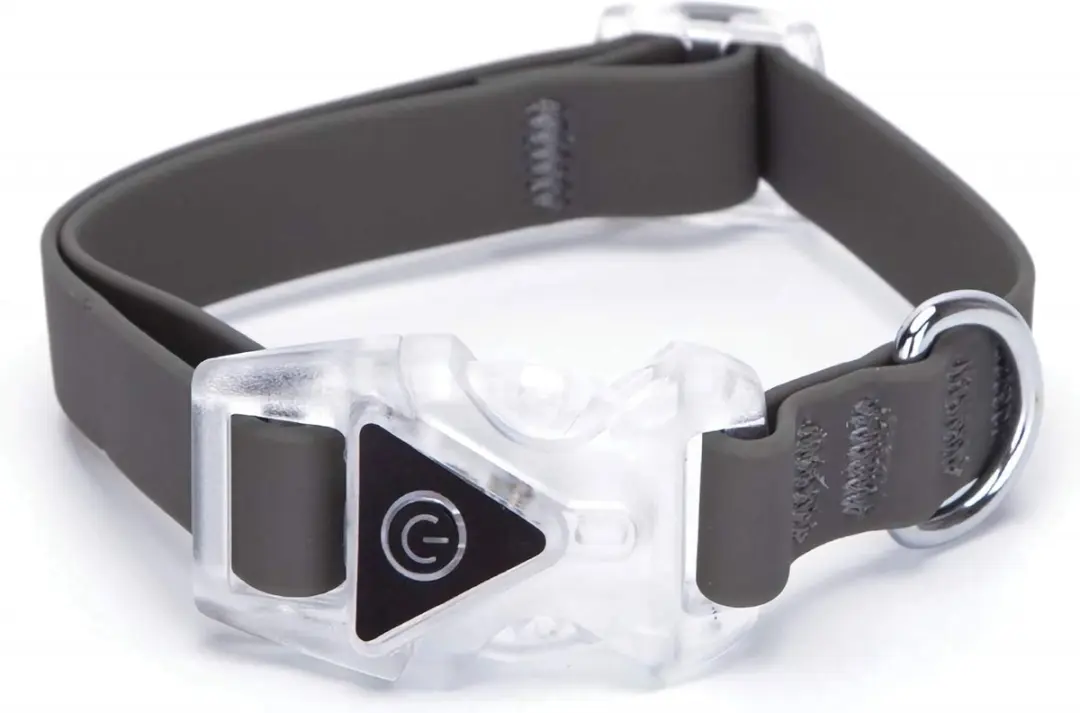 Nobleza Verlichte halsband hond