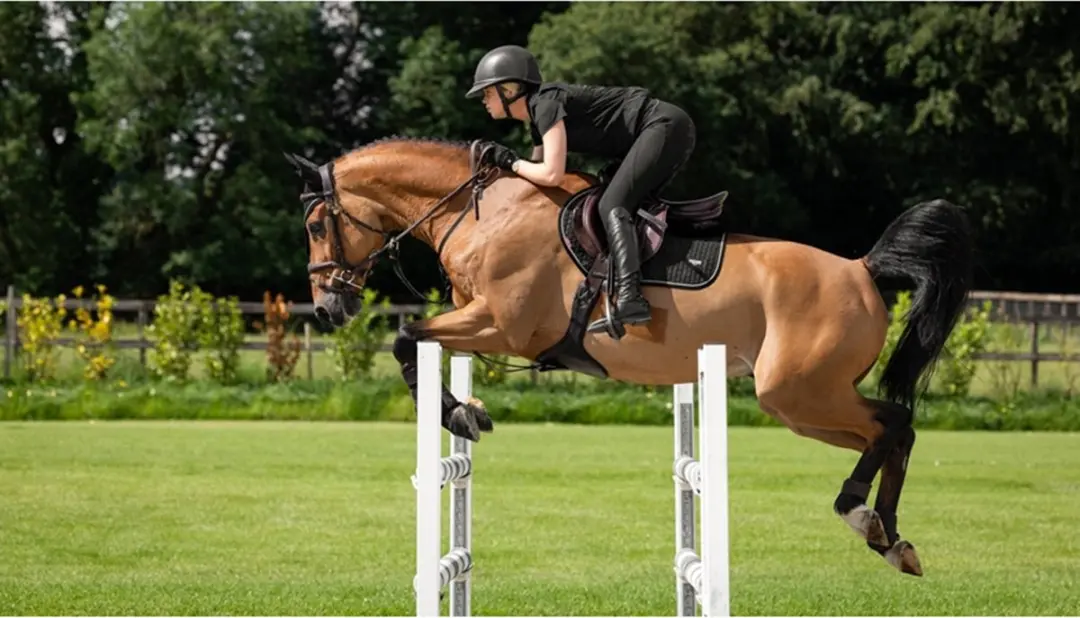 Lemieux Oornetje Puissance Full - Zwart