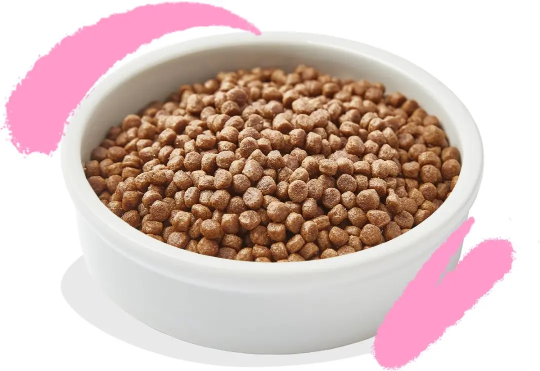 Edgard & Cooper Cat Kitten Duck & Chicken 325g