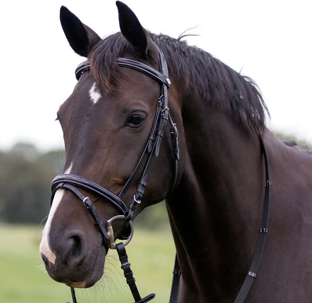 QHP Hoofdstel Luxe Stiksel Cob - Zwart