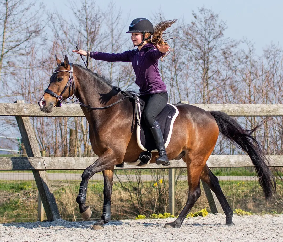 QHP Bareback Pad Pony - Zwart