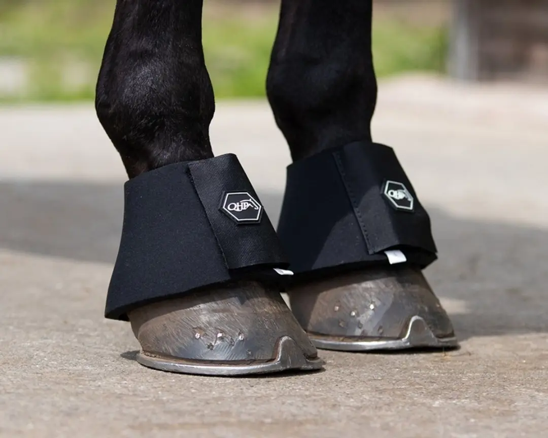 QHP Springschoenen Neopreen Zwart XXL - afbeelding 5 van 6