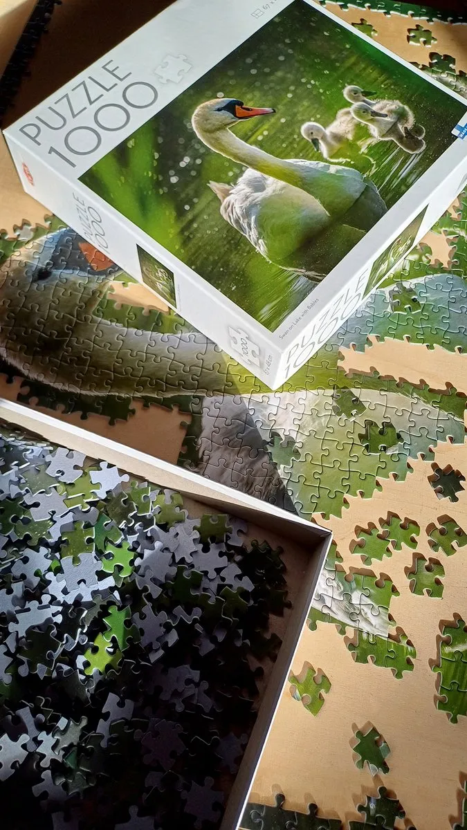 Tactic Puzzle Swan on Lake with Babies 1000 Stuks - Meerkleurig