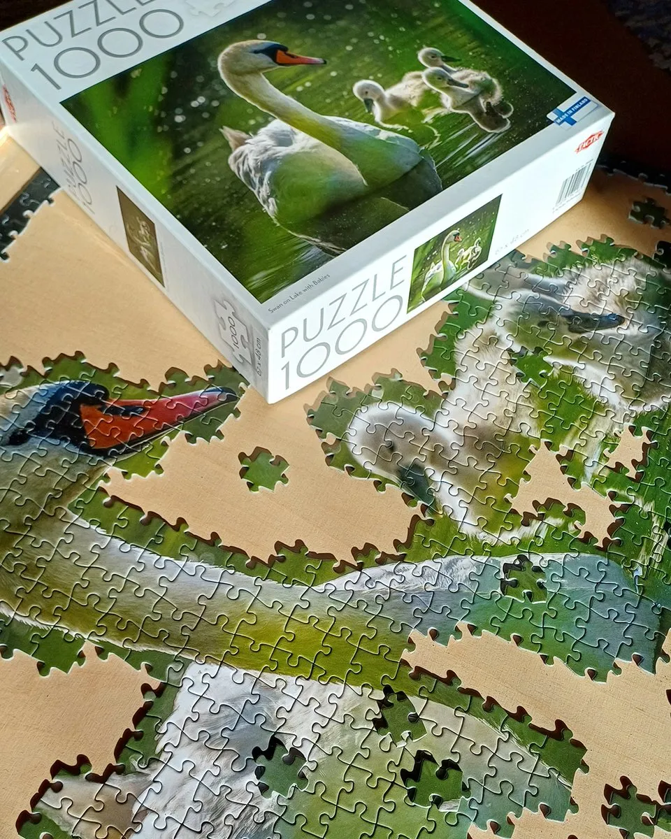 Tactic Puzzle Swan on Lake with Babies 1000 Stuks - Meerkleurig
