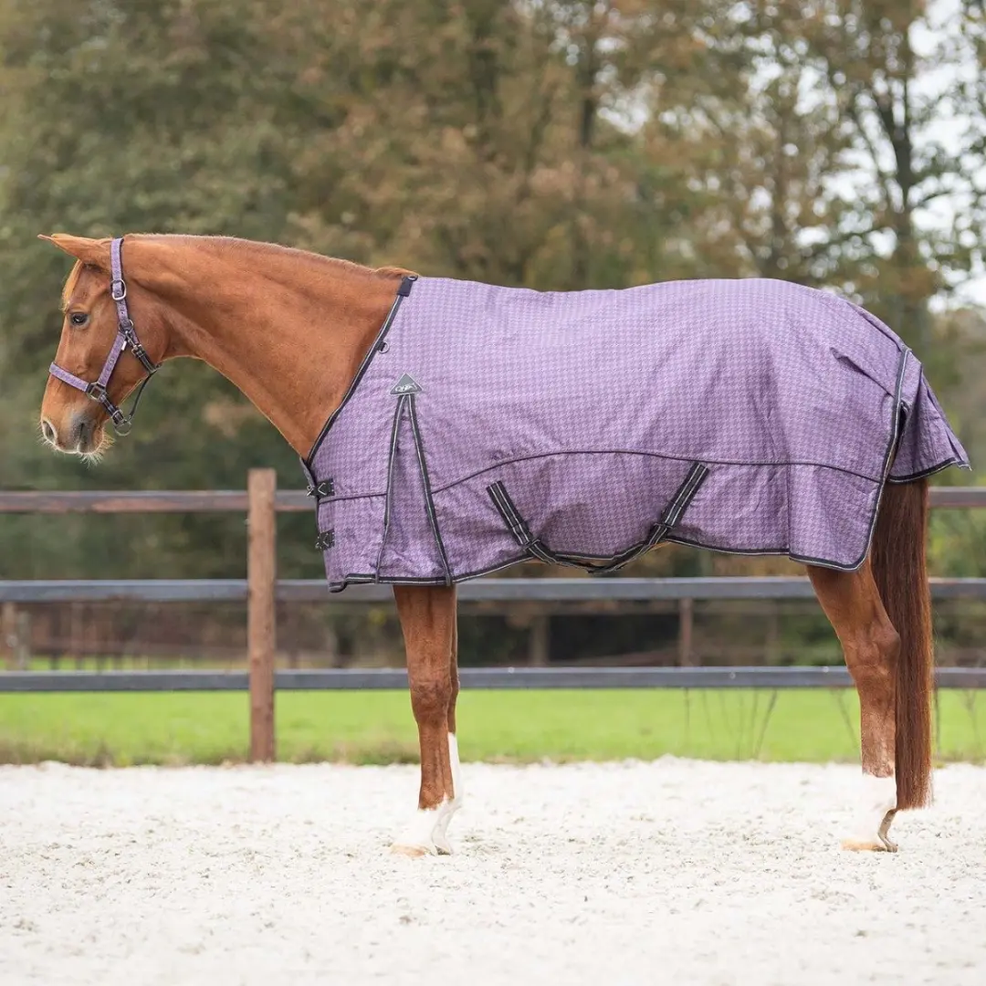Paardendeken QHP Amethyst 150g