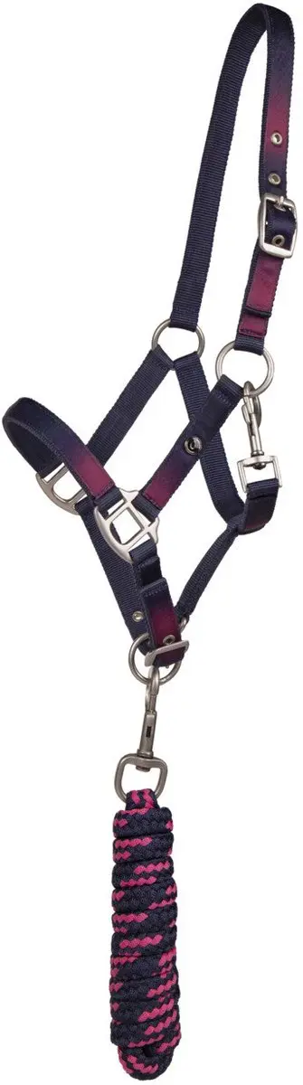 Qhp Halsterset Jaily Ombre