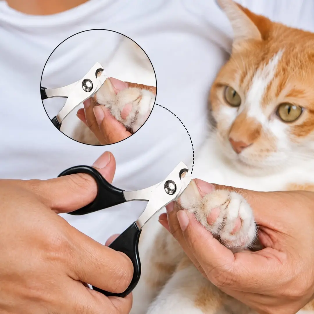Nobleza Nagelschaar Huisdieren - Zwart Zilver
