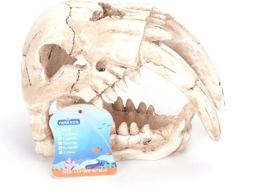 Nobleza Aquarium Schedel Ornament 14x9x10cm - Crème