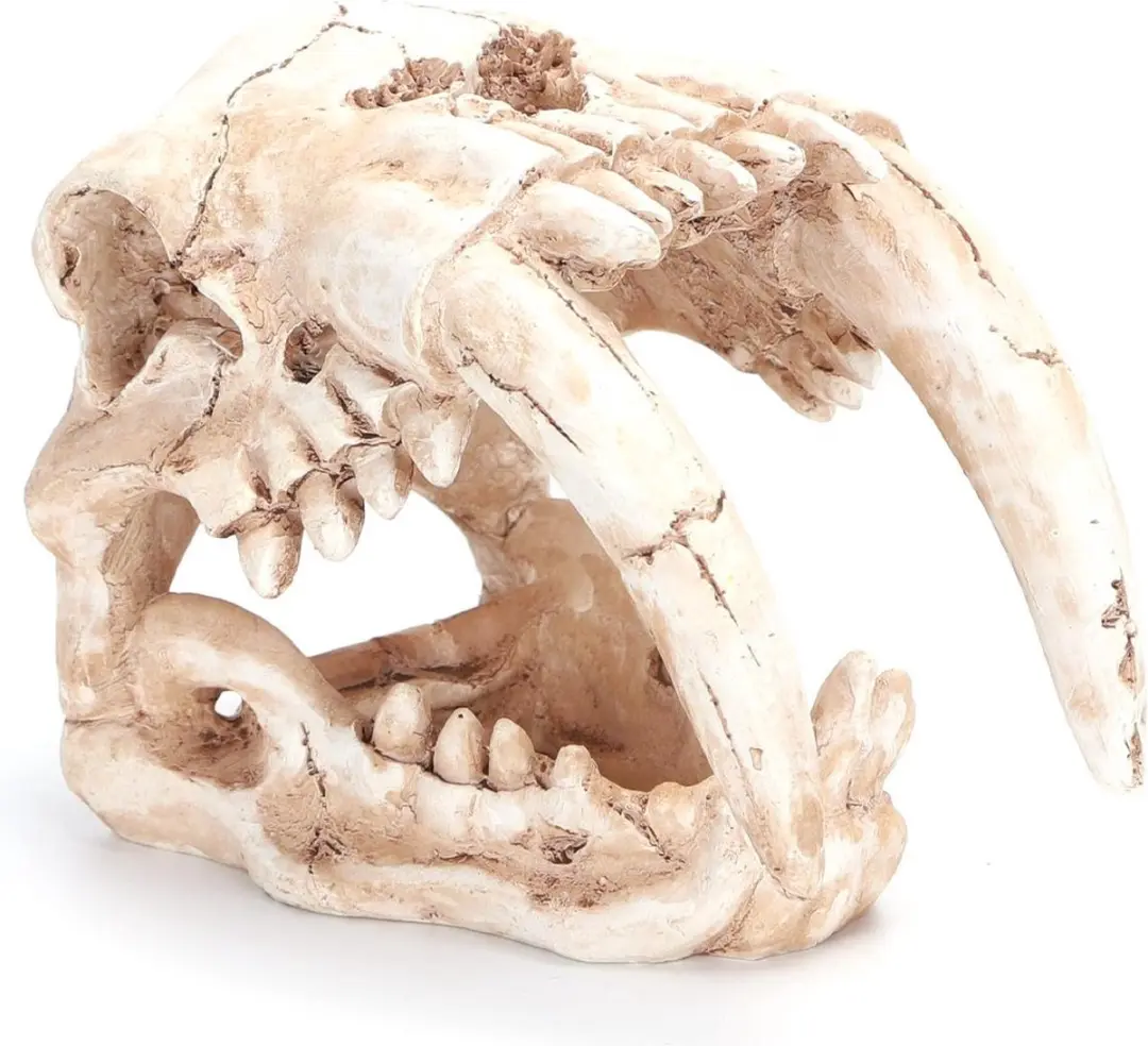 Nobleza Aquarium Schedel Ornament 14x9x10cm - Crème