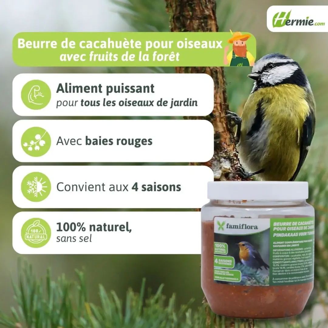 Famiflora Pindakaas Tuinvogels 350g - Bosvruchten
