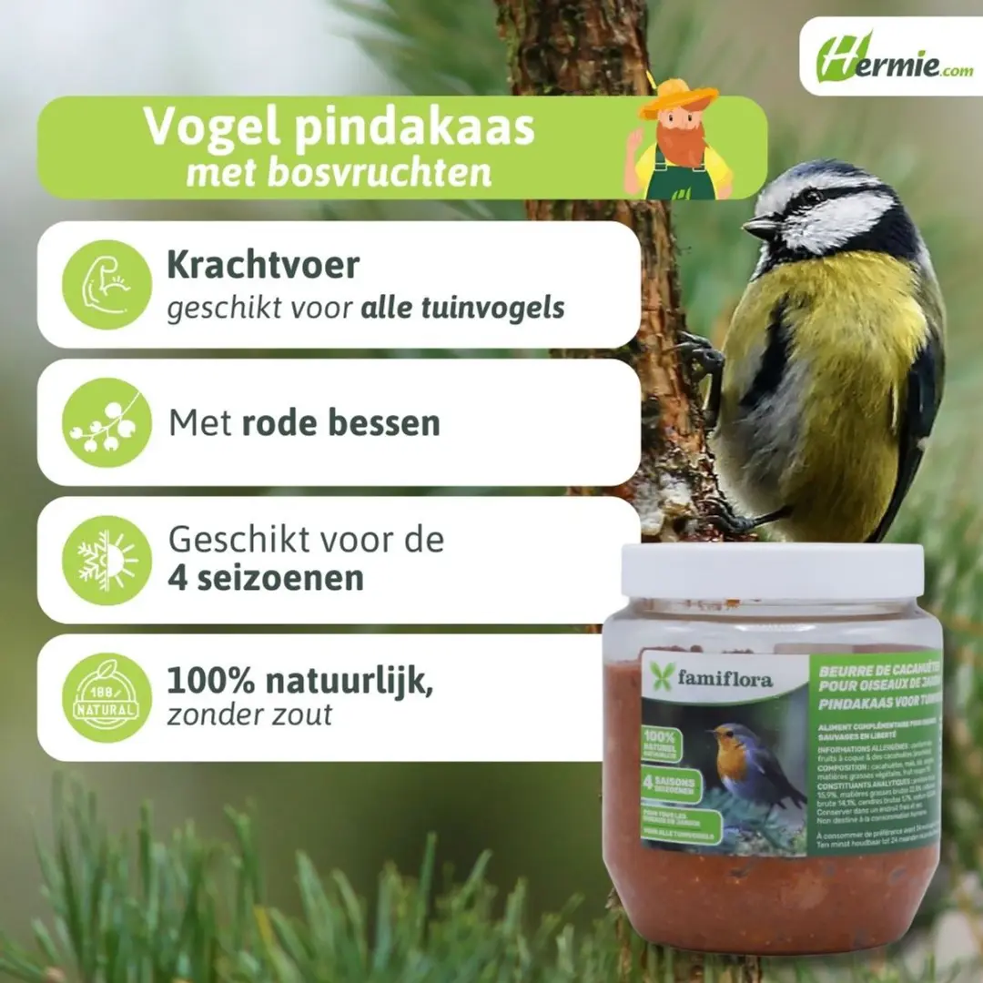 Famiflora pindakaas voor tuinvogels met bosvruchten