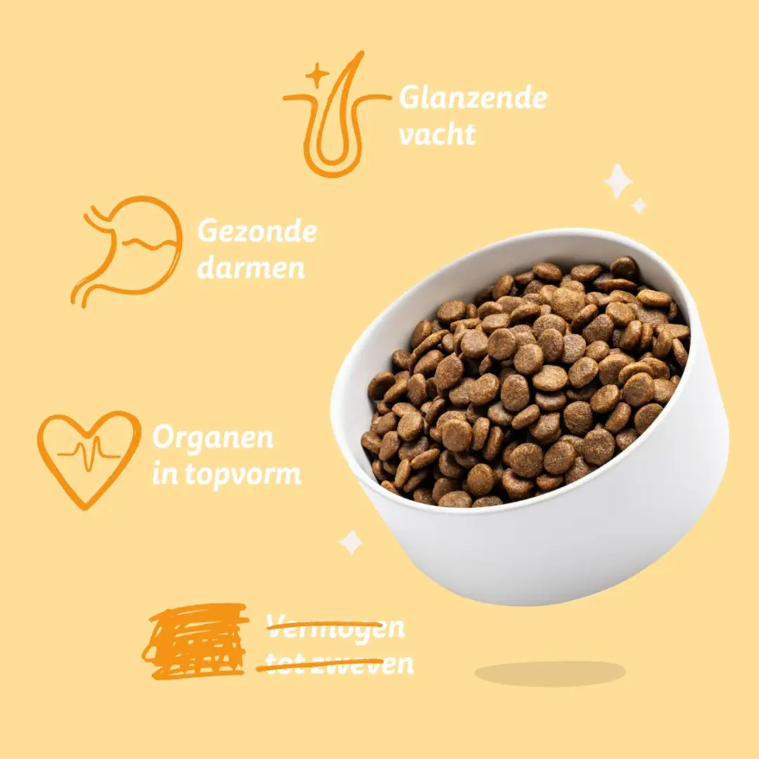 Edgard & Cooper Adult Hondenbrokken Wortel & Courgette 1kg - Klein Ras