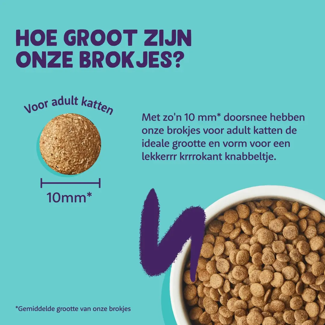Edgard & Cooper Kat Adult Kalkoen & Kip 325g