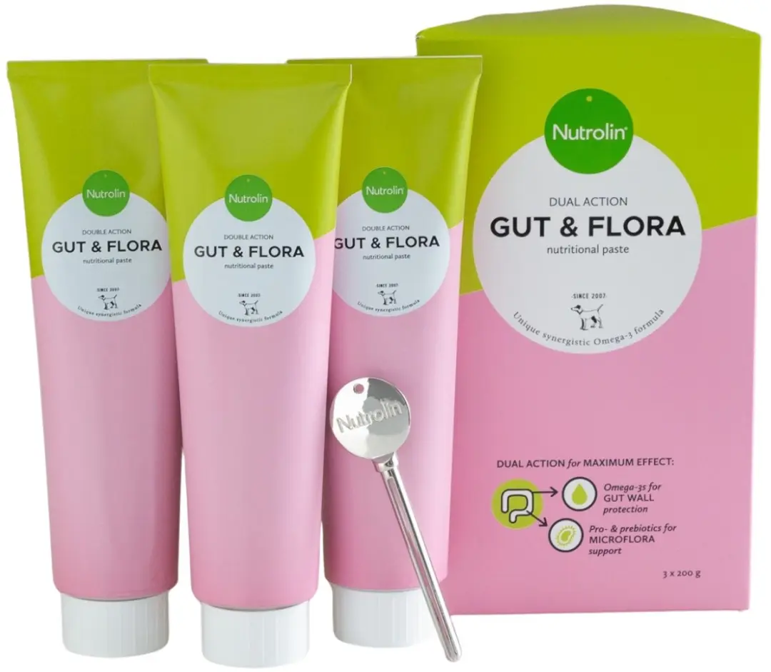 Nutrolin Gut & Flora Paste 600 gr