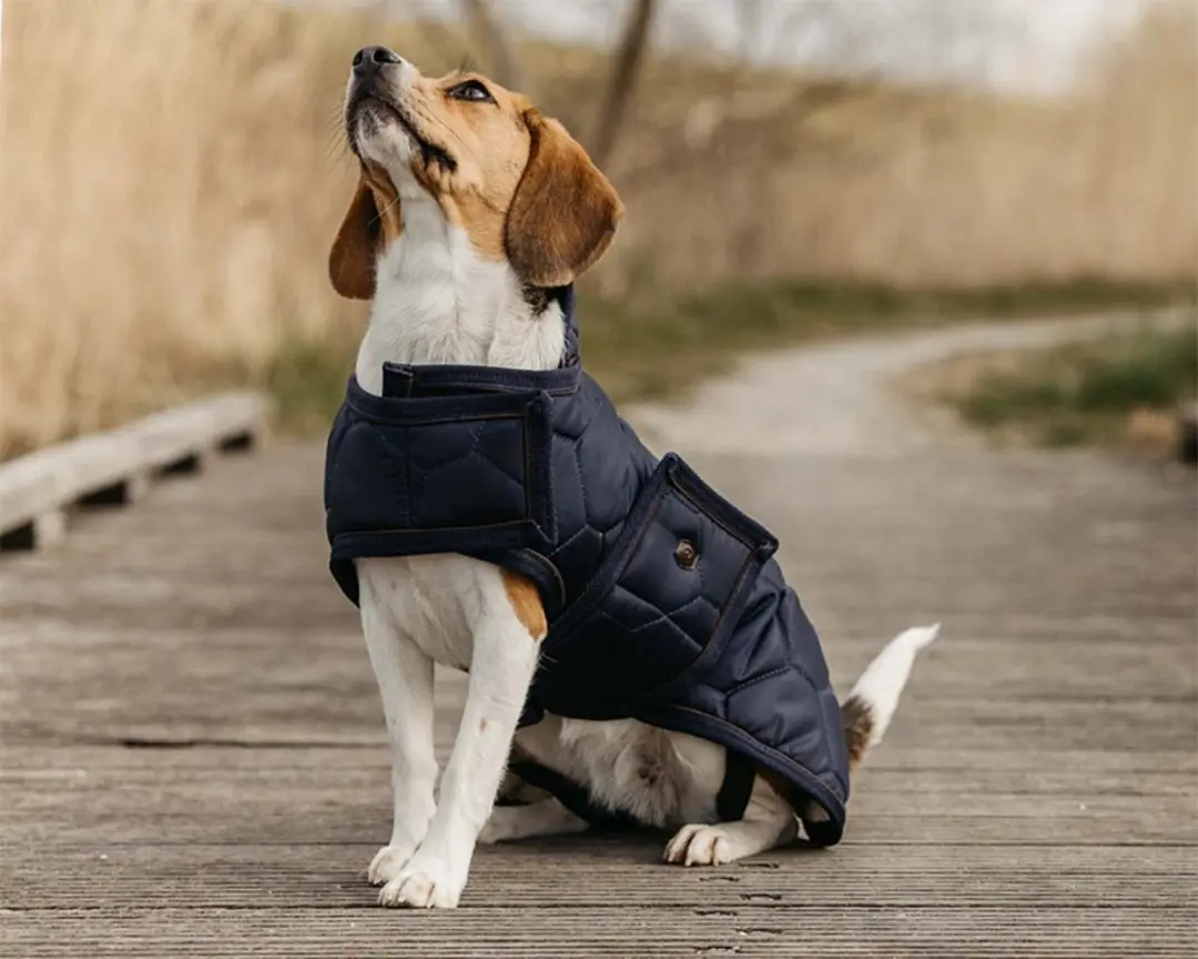 QHP HondenDeken Classy Blue - Donkerblauw