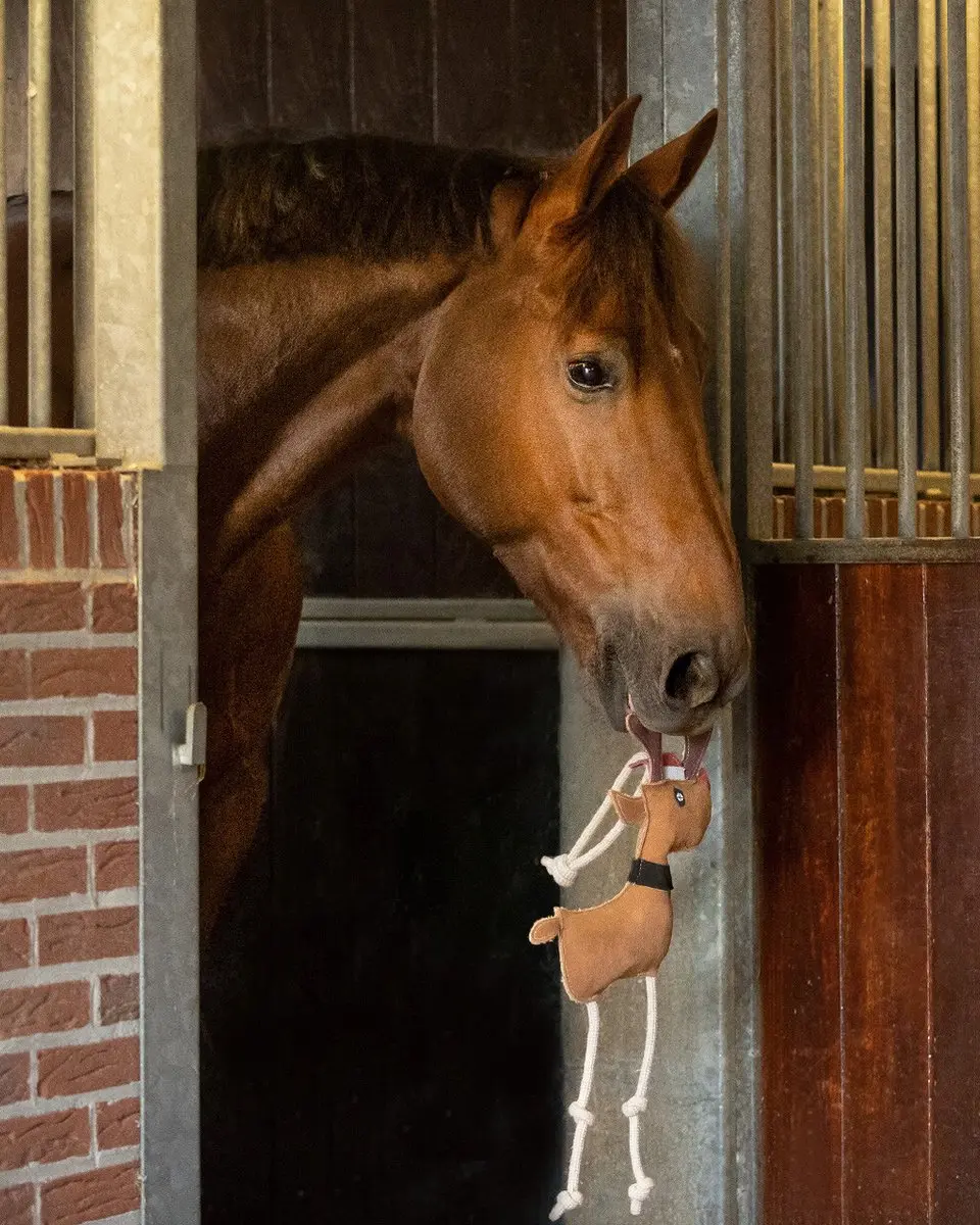 QHP Rudolph Paardenspeelgoed - Bruin - afbeelding 2 van 6