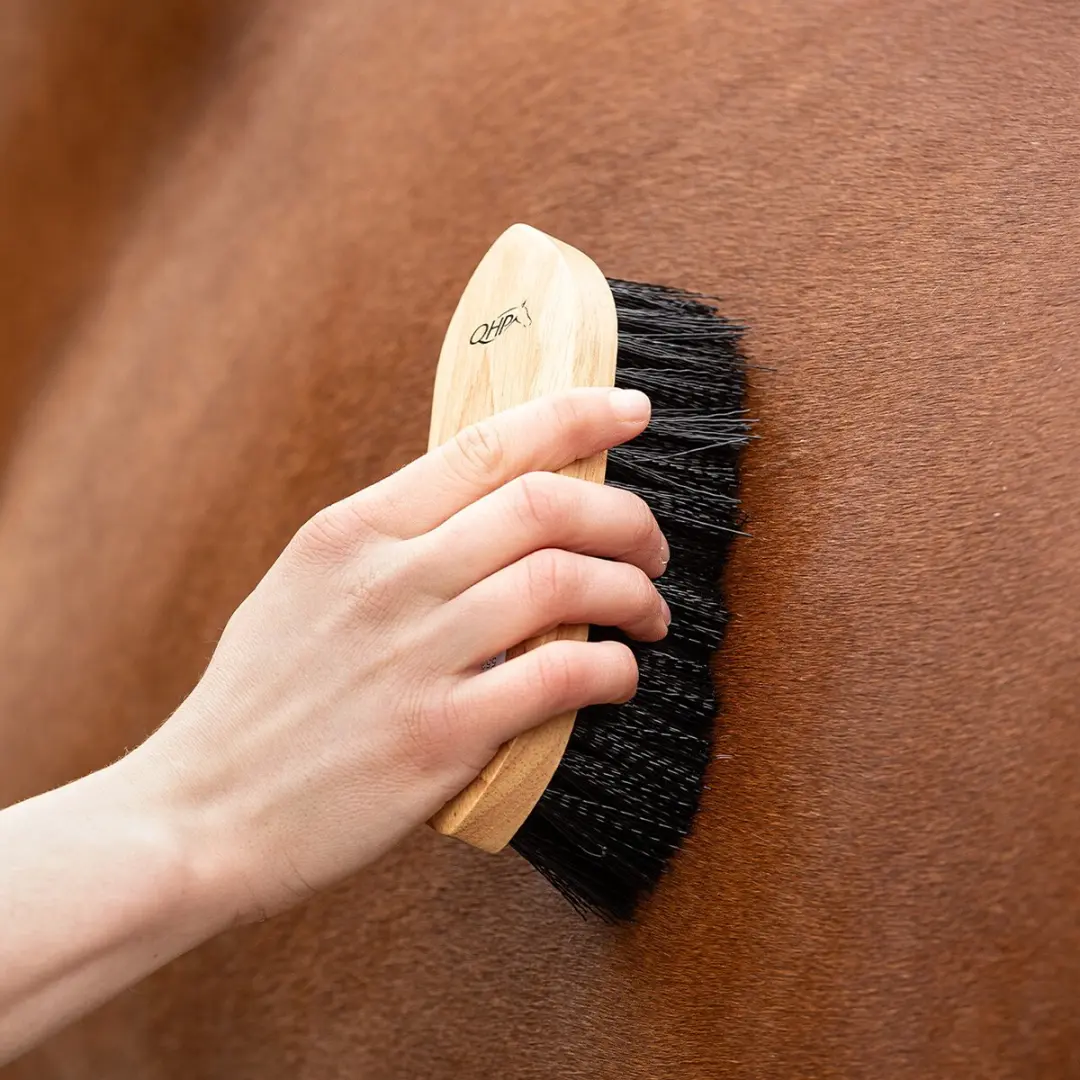 QHP Dandy Brush & Magneet - 2 Stuks - Zwart - afbeelding 2 van 4
