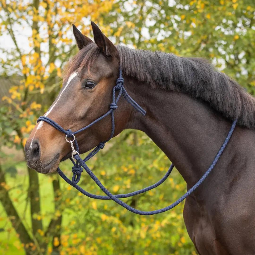 QHP Touwhalster Color - Donkerblauw - afbeelding 6 van 6