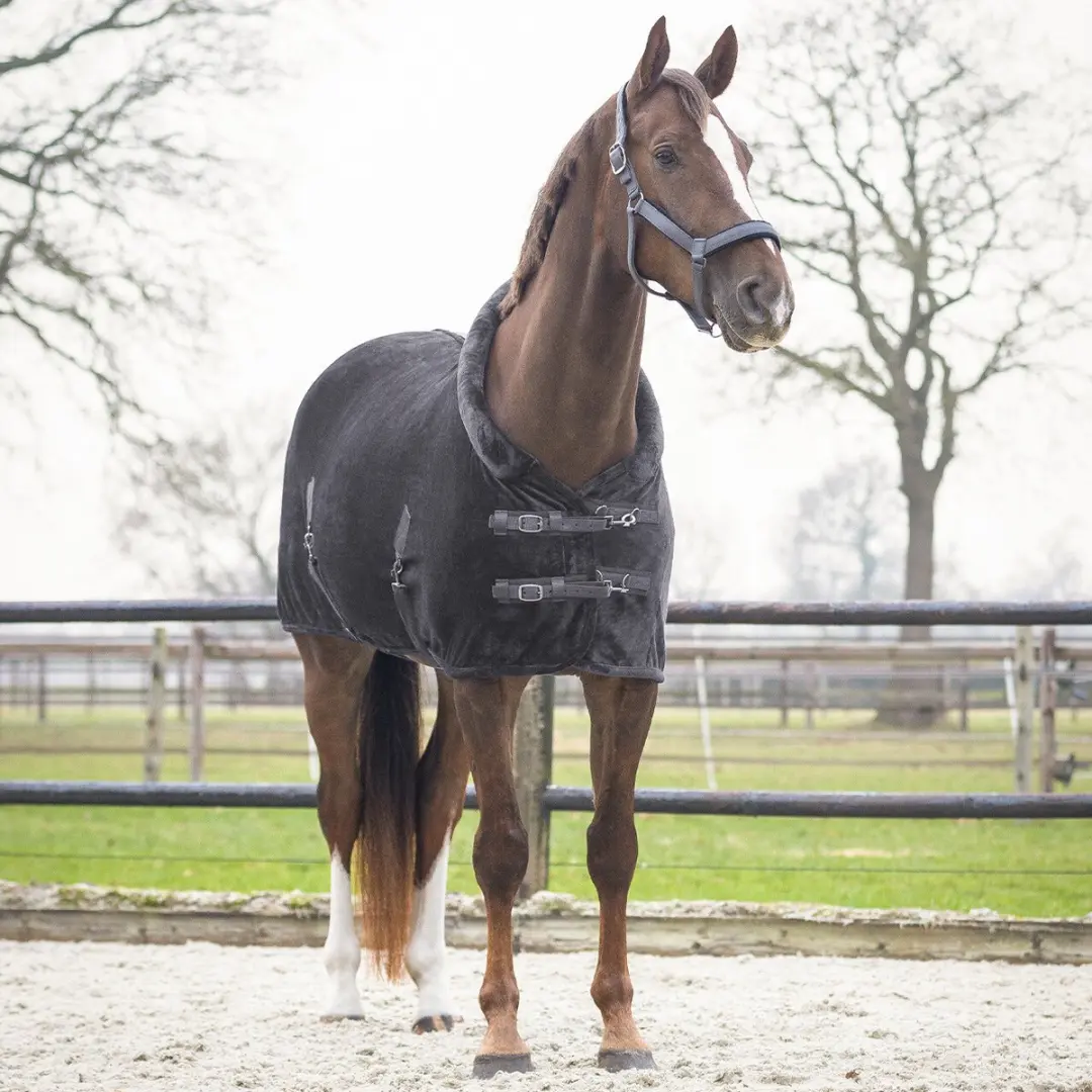 QHP Showdekens Sensisoft 155cm - Zwart-grijs - afbeelding 2 van 2