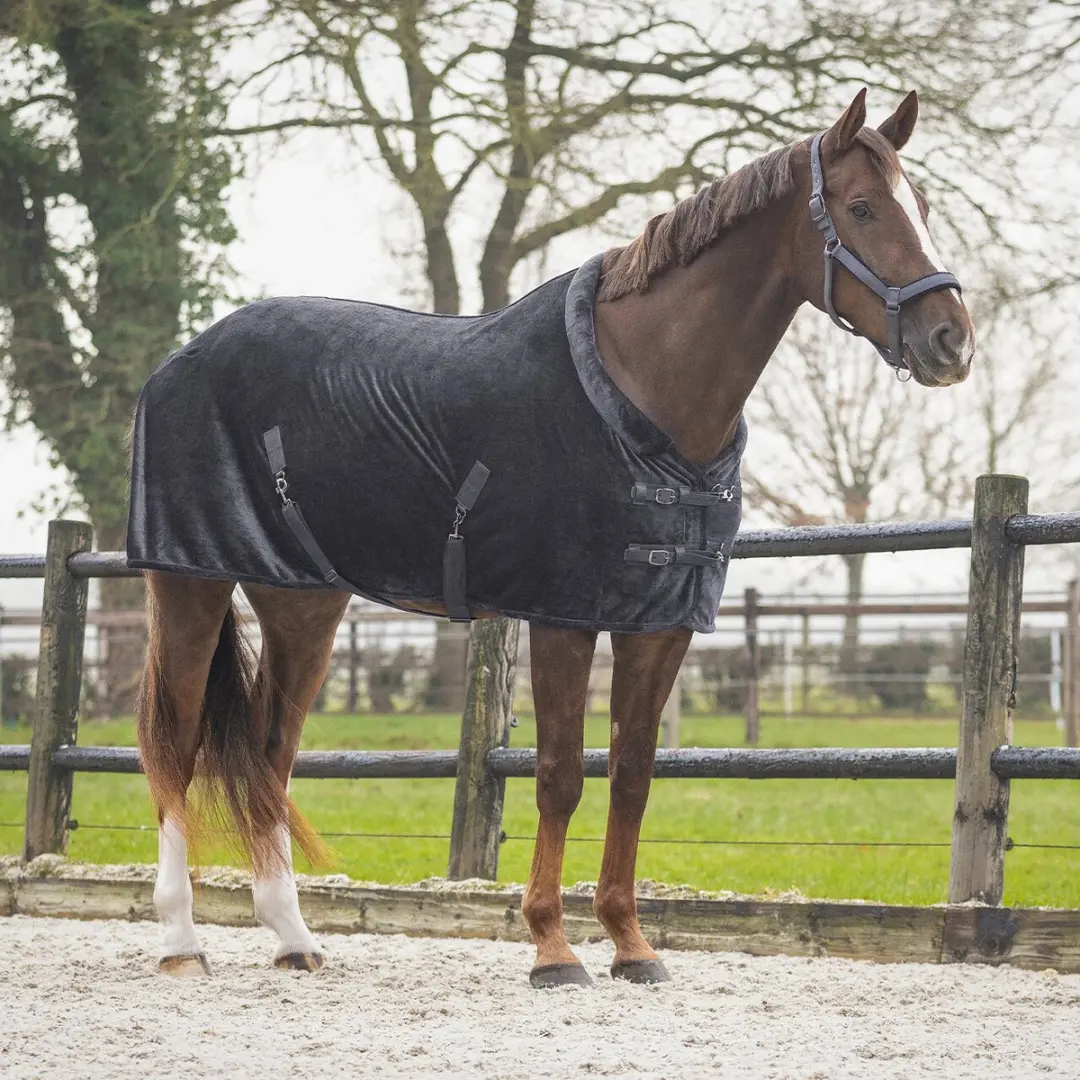 QHP Showdekens Sensisoft 155cm
