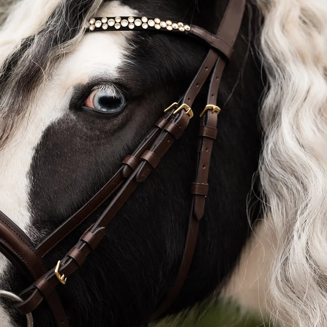 Epplejeck Pitbull Hoofdstel - Cob - Bruin-donkerbruin - afbeelding 3 van 6