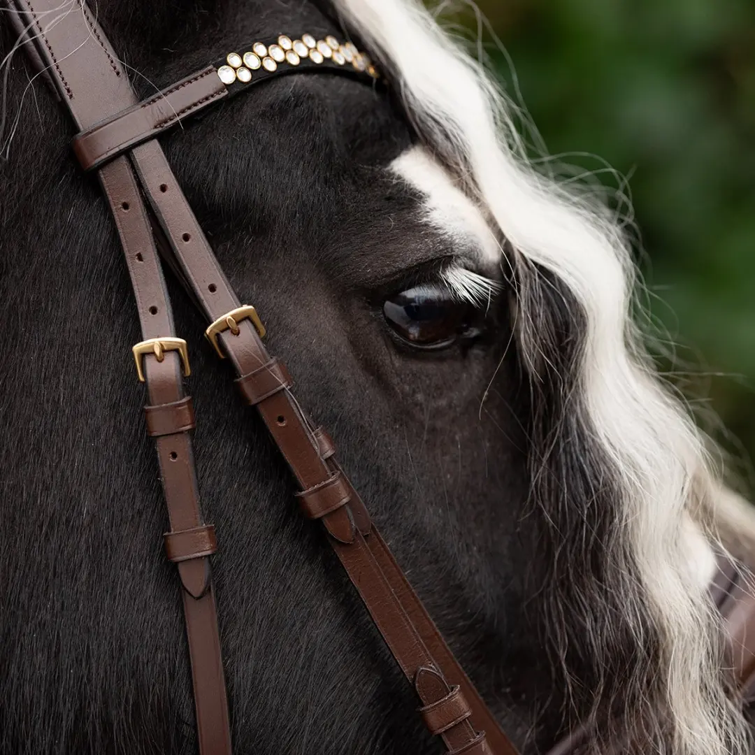 Epplejeck Pitbull Hoofdstel - Cob - Bruin-donkerbruin - afbeelding 2 van 6