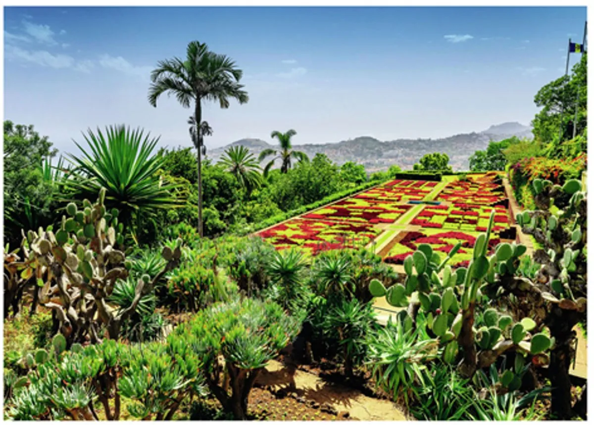 Ravensburger Botanical Garden Madeira Puzzel 1000 Stuks - Multicolor