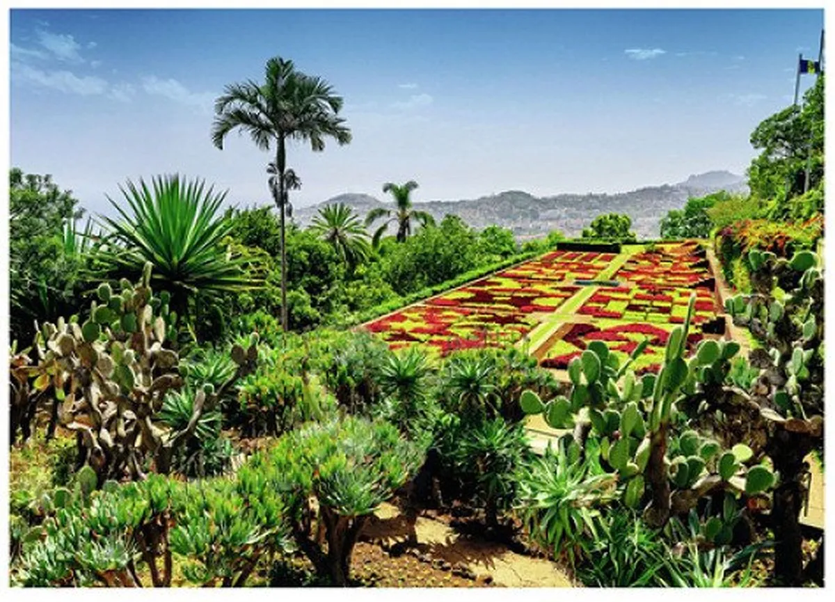 Ravensburger Botanical Garden Madeira Puzzel 1000 Stuks - Multicolor - afbeelding 6 van 6