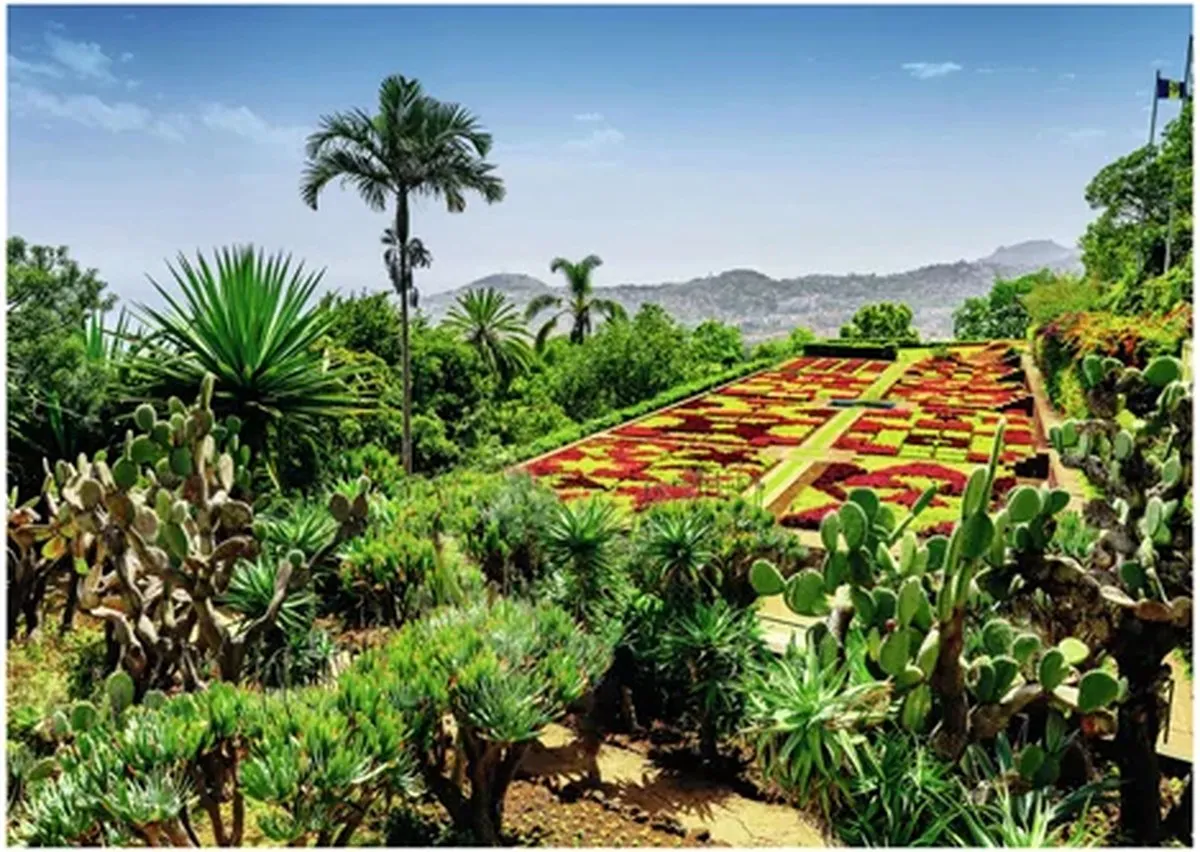 Ravensburger Botanical Garden Madeira Puzzel 1000 Stuks - Multicolor