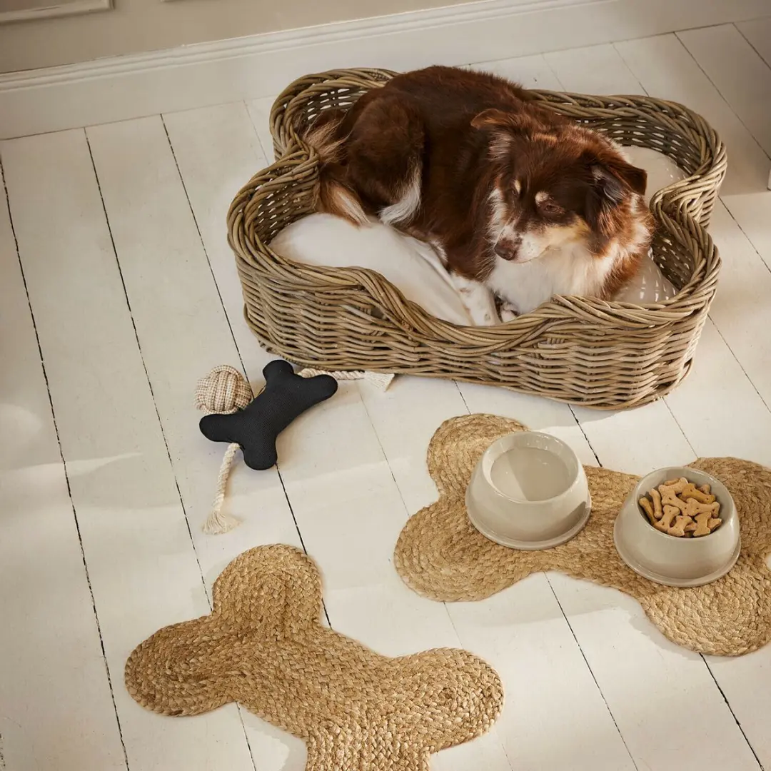 Loberon Huisdierenspeeltje Wuffsy - Blauw/Crème - afbeelding 3 van 4