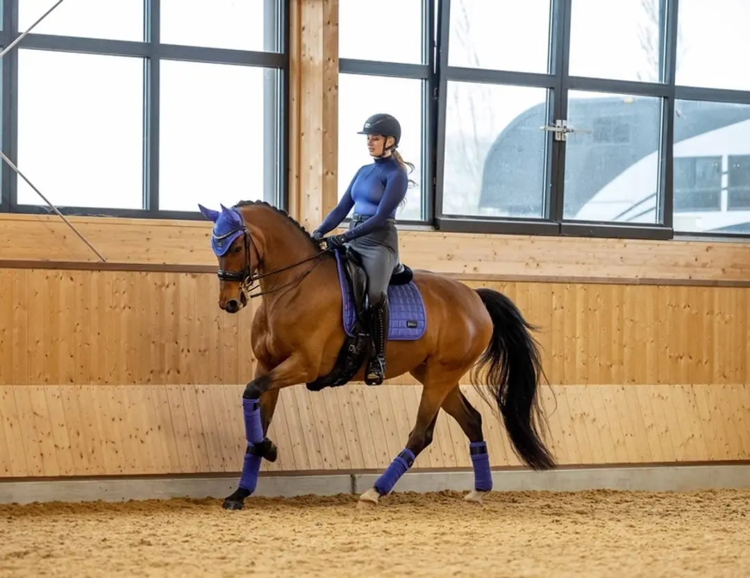 Lemieux Spectrum Polo Bandages - Navy/Bluebell L - 4 Stuks - afbeelding 2 van 4