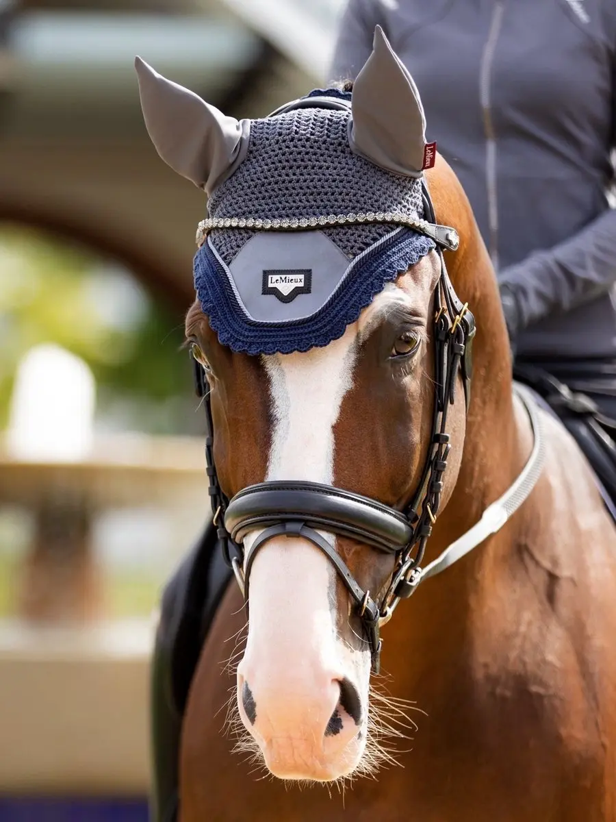 Lemieux Frontriem Twilight Classic Bruin