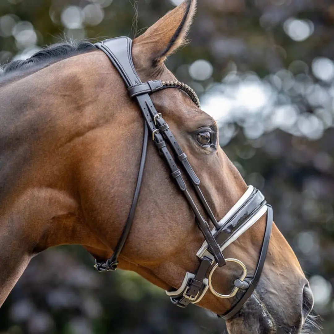 LeMieux Kudos Patent Dressage Hoofdstel - Full - Bruin/Wit - afbeelding 6 van 6