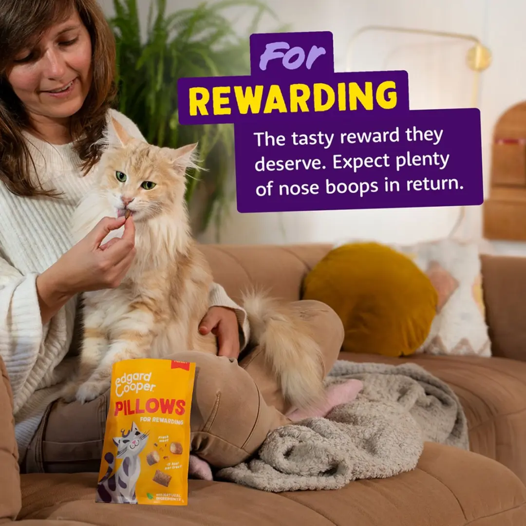 Edgard & Cooper Pillows Kalkoen Kattensnack 60g