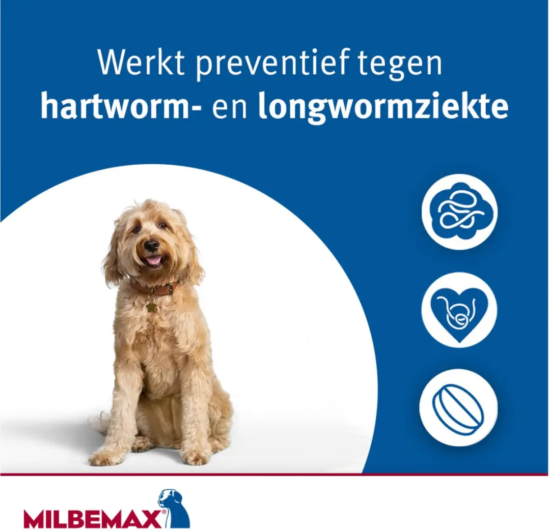 Milbemax Hond Anti-wormenmiddel 4 tabletten - 10-75 kg