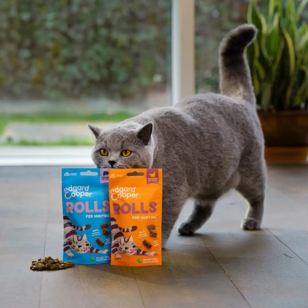Edgard & Cooper Adult Rolls Kattensnack Zalm - 8x45g