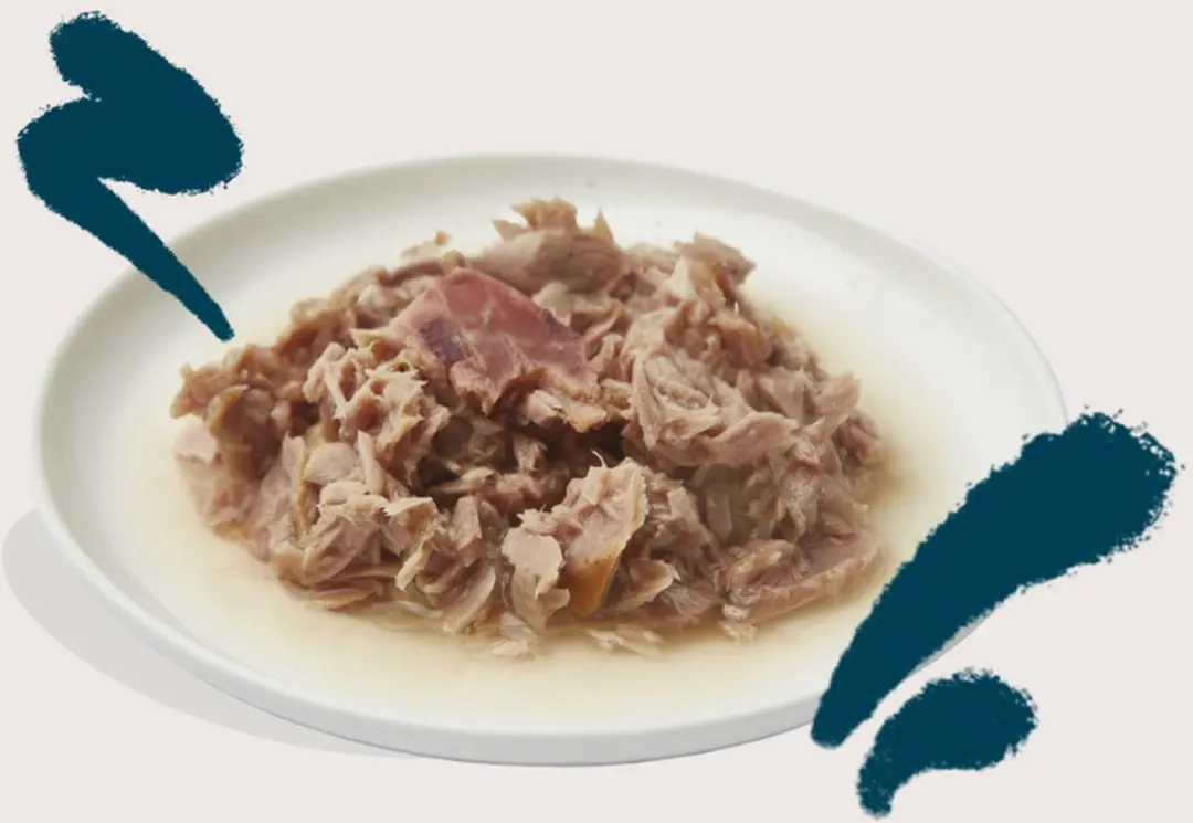 Edgard & Cooper Kattenvoer Fillets Tonijn 70g