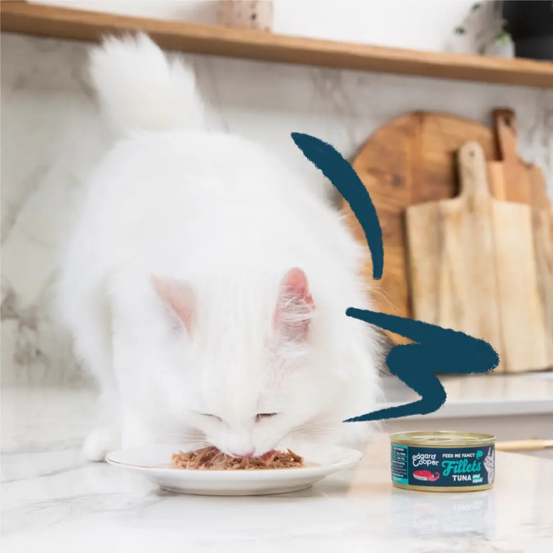 Edgard & Cooper Kattenvoer Fillets Tonijn 70g