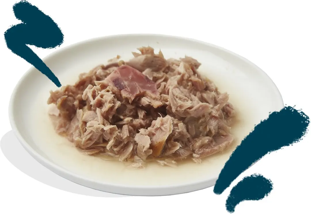 Edgard & Cooper Kattenvoer Fillets Tonijn 70g