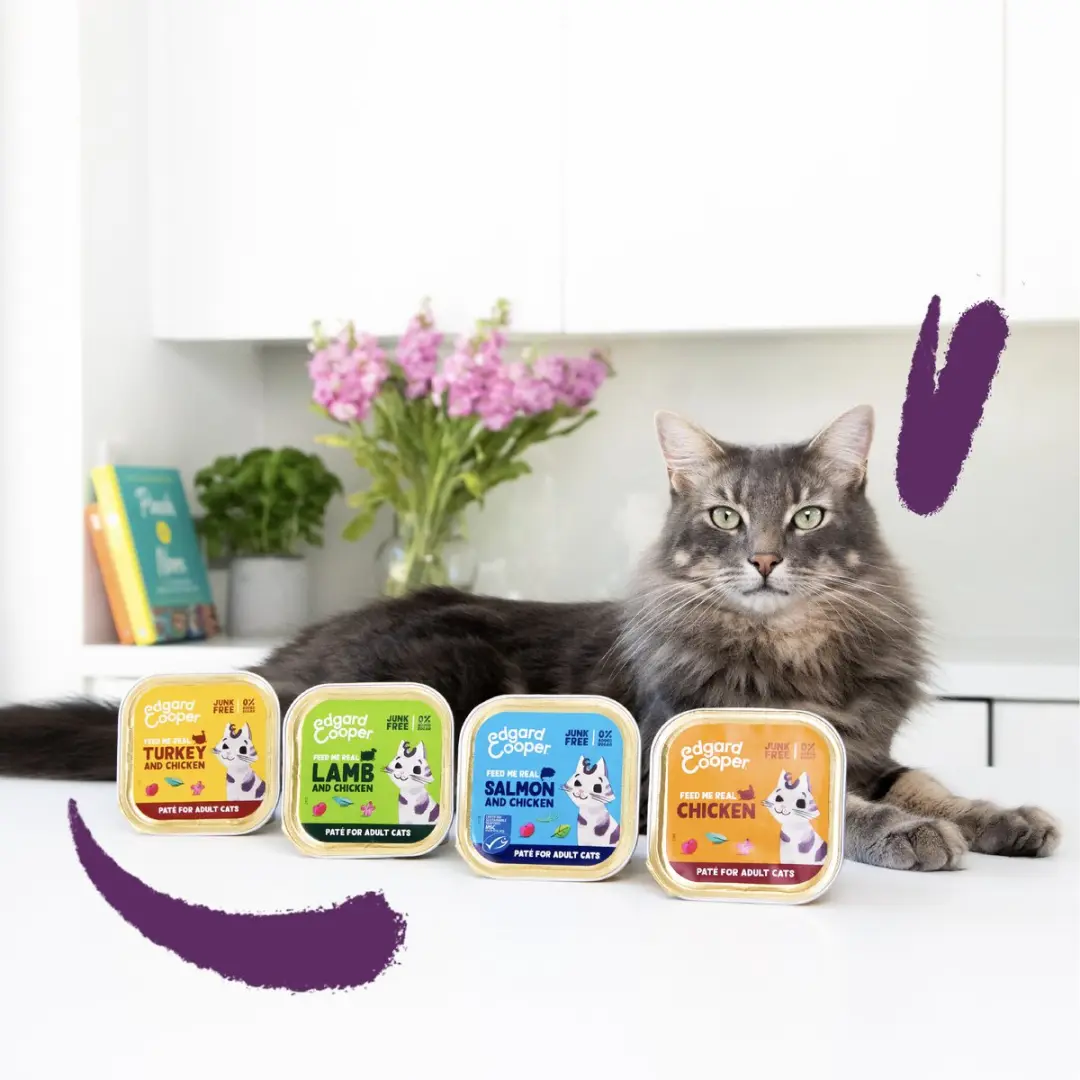 Edgard & Cooper Gesteriliseerde Kattenvoer Lam & Kip 85g - 16 Stuks