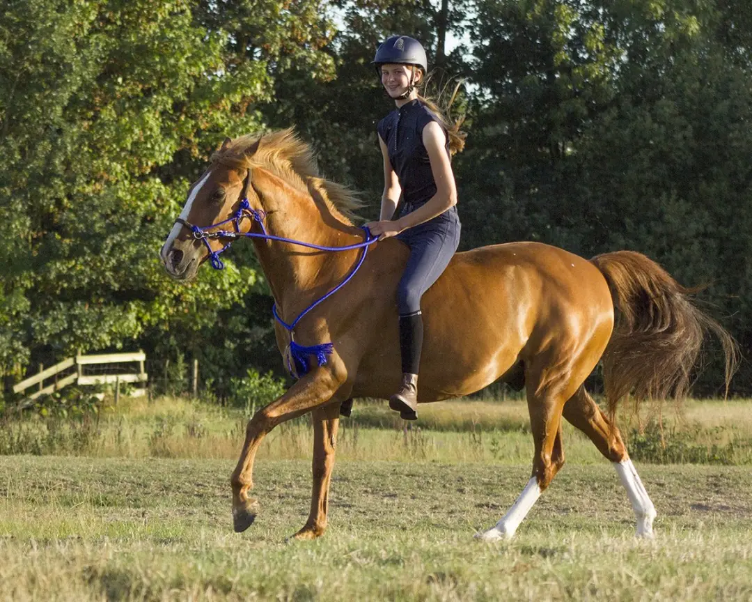 QHP Touwhalster Combi Neckrope Cob - Kobaltblauw - afbeelding 5 van 6