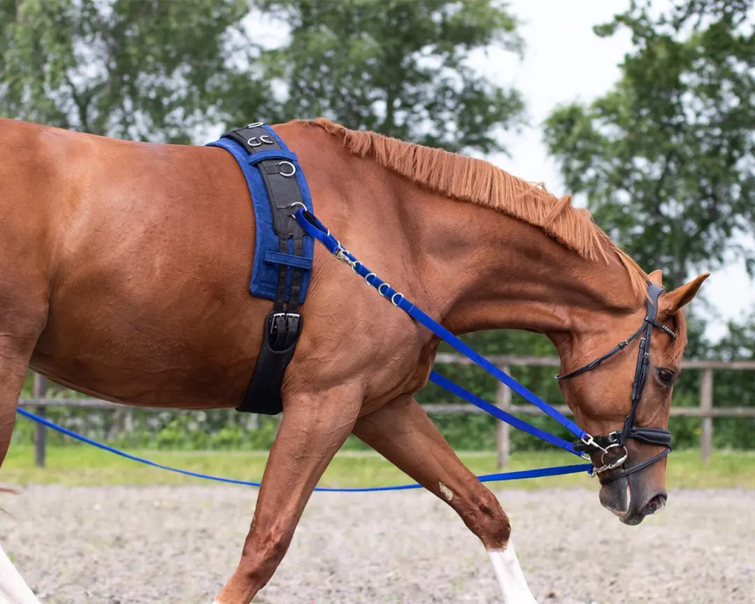 QHP Bijzetteugels Color Black - Pony - afbeelding 5 van 6