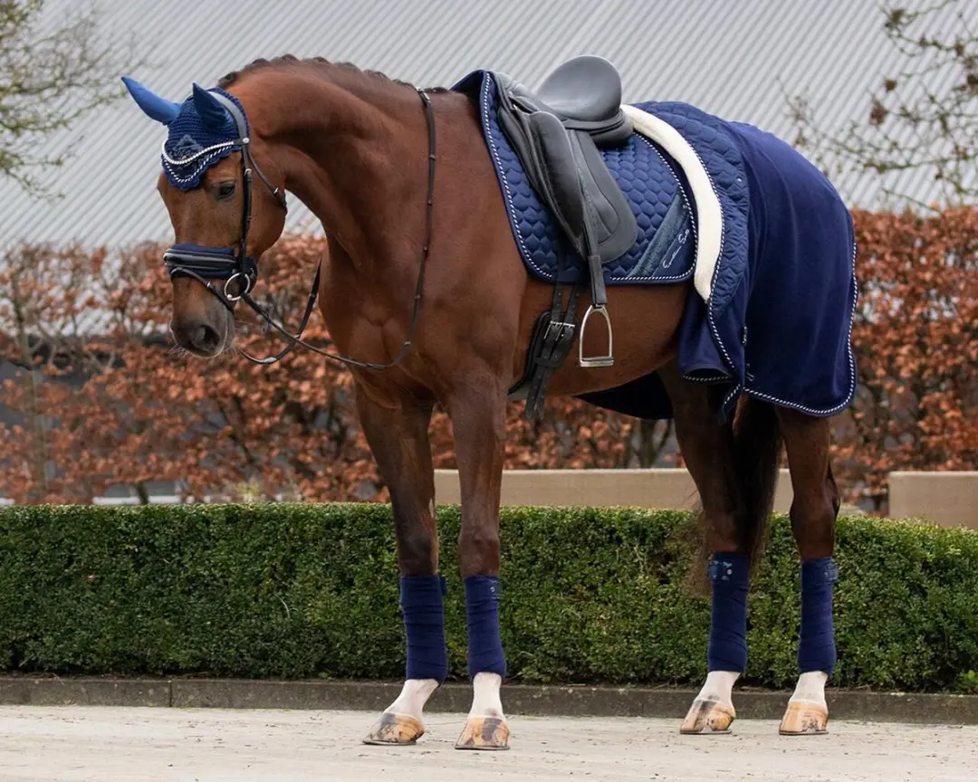 QHP Brilliance Zweetdeken 155x205cm - Navy - afbeelding 3 van 6