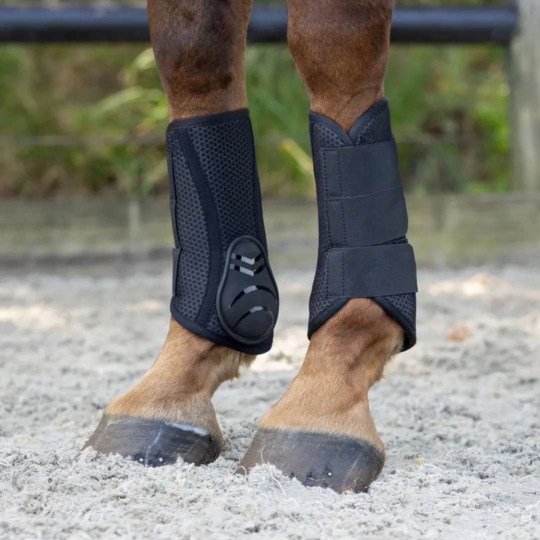 QHP Beenbeschermers Air Mesh - Zwart S - afbeelding 4 van 6