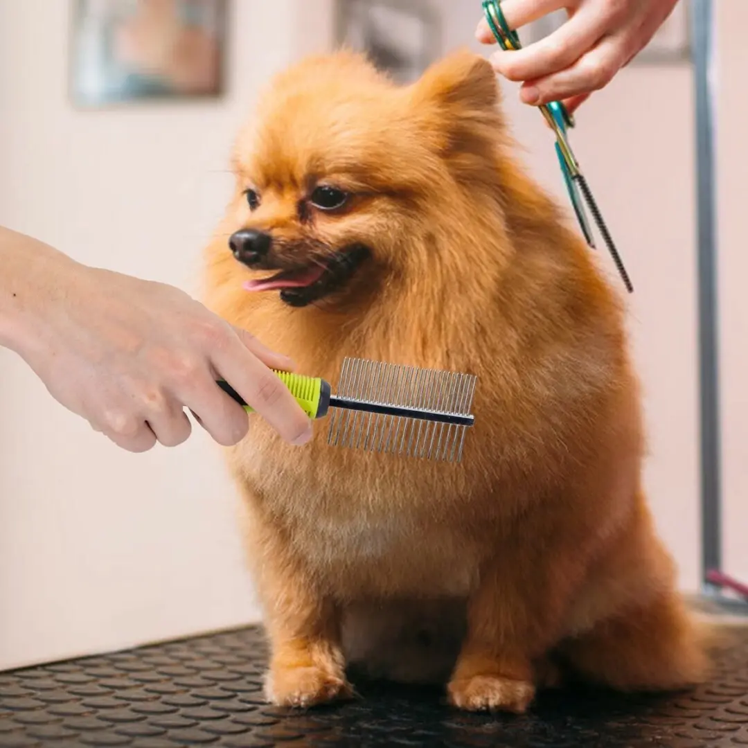 Nobleza Honden- en Kattenkam - Dubbelzijdig - Zwart/ Groen