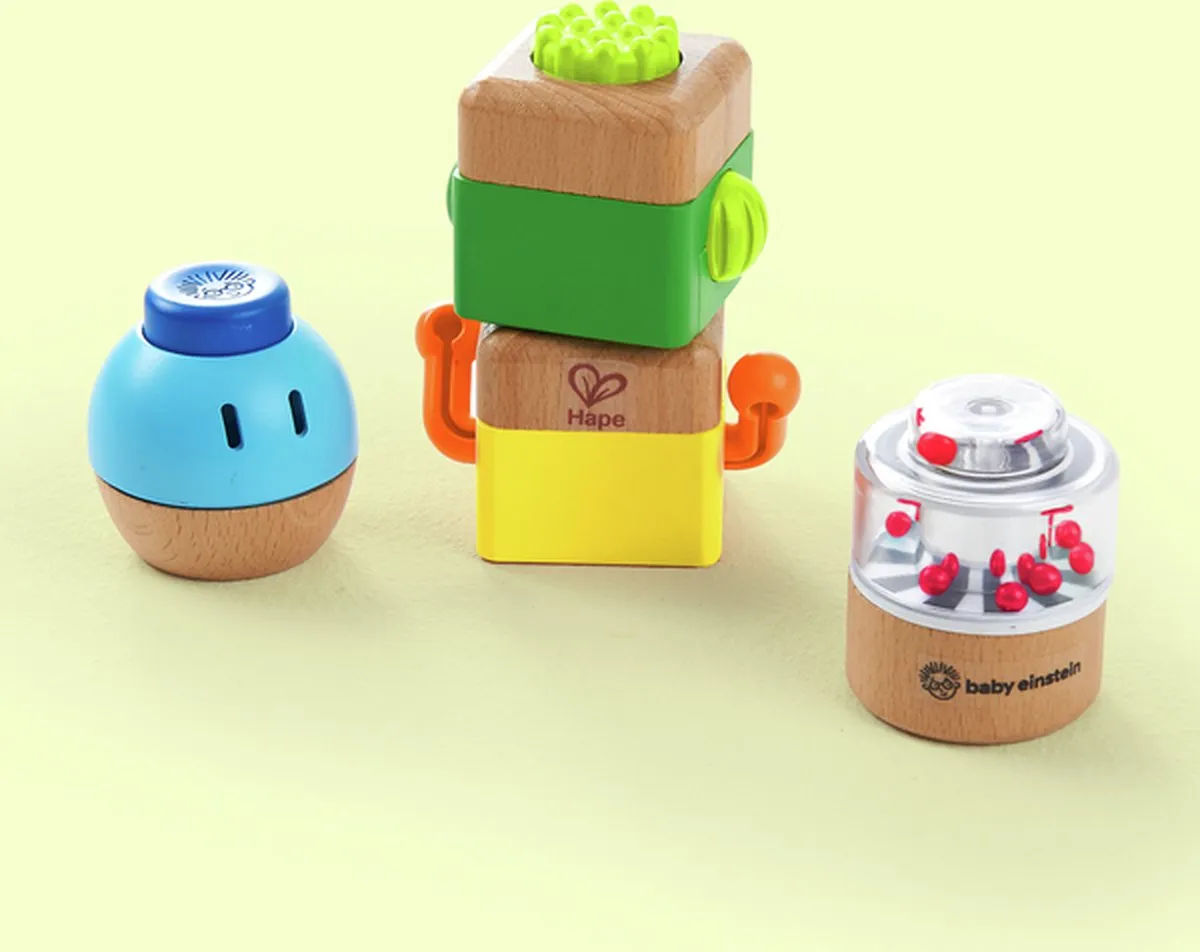Hape Four Fundamentals Bouwstenen
