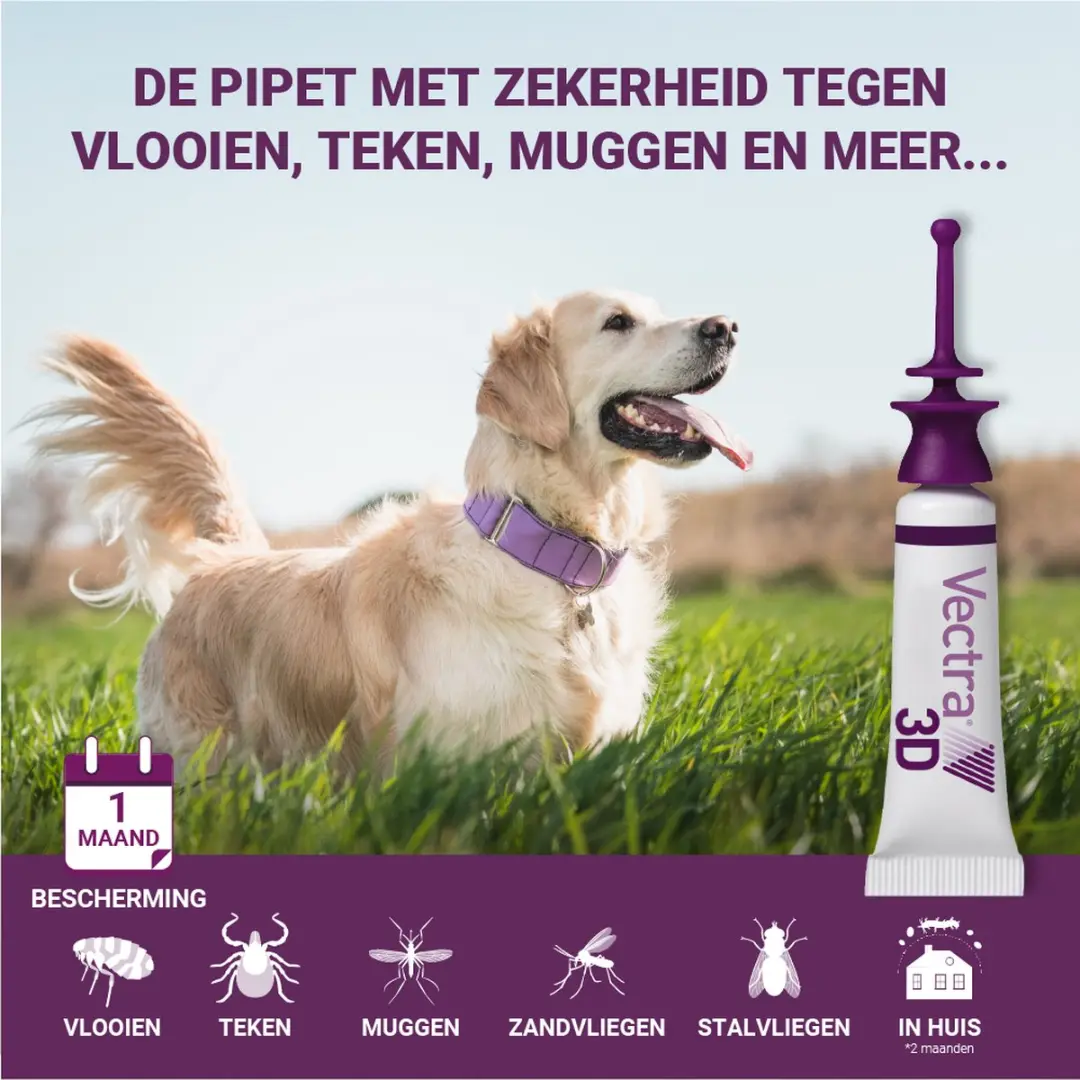 Vectra 3D Hond Anti Teken- en Vlooiendruppels 3 Pipetten