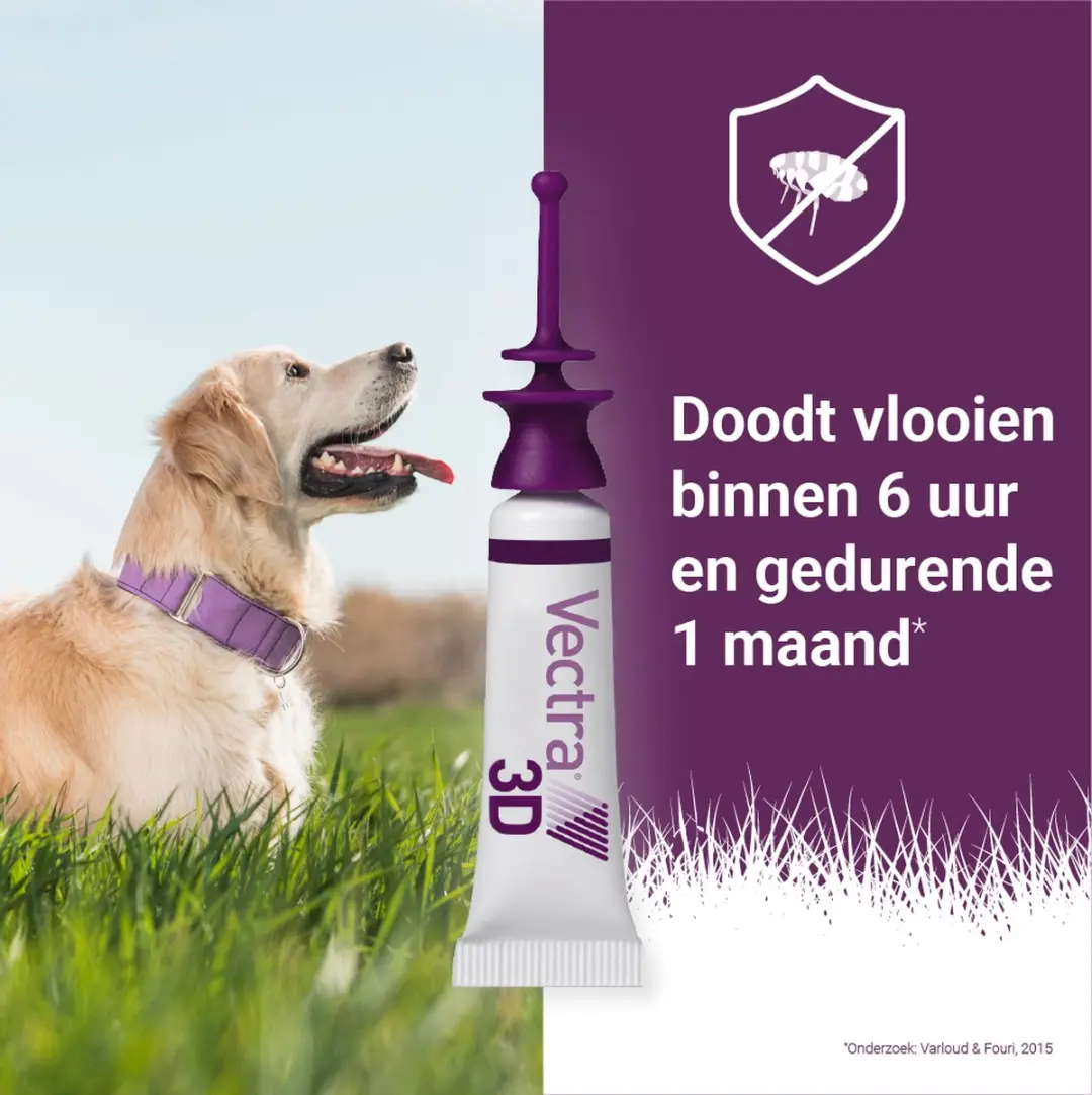 Vectra 3D Hond Anti Teken- en Vlooiendruppels 3 Pipetten
