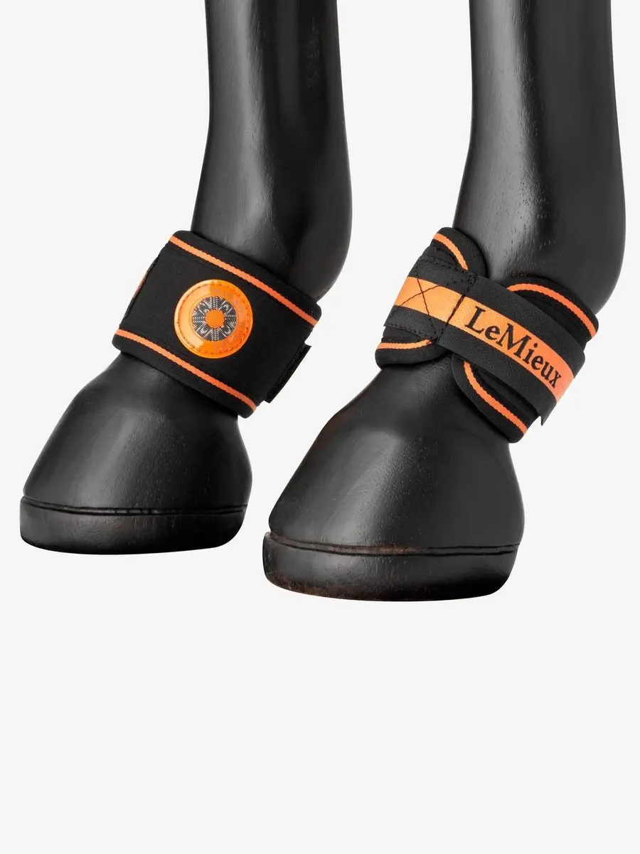 Lemieux Magno Pastern Wrap Hakbeschermers - 2 Stuks - Zwart